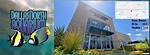 The Ultimate Dallas North Aquarium Visitor Guide: Hours, Rare Fish Collections, and Pro Tips