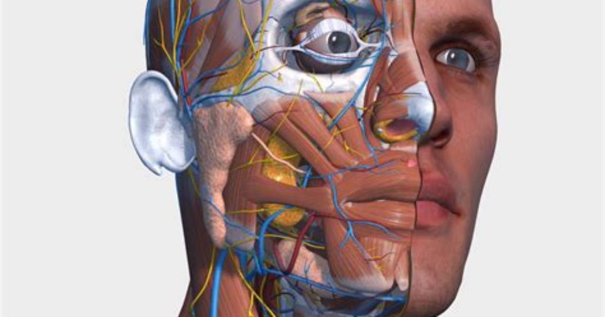 The Visual Anatomy of the Internet’s Viral Victorian Child Archetype