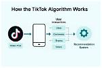 Tiktok Explore Page Fact-Check: Algorithm Shift, Rumors, and Reality