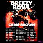 Timeline of Tour Antics: from Chris Brown Lap Dances to Usher's Stage Ejection