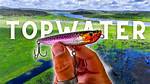 Topwater Strike Test: Visible Proof Showing Why Braided Line Triggers More Explosive Hooksets