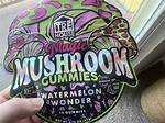 Tre House Mushroom Gummies Review: Viral High or Serious Health Risk?