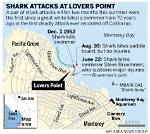 Visiting Lovers Point Beach: Current Closures, Shark Alerts, and Swimming Rules