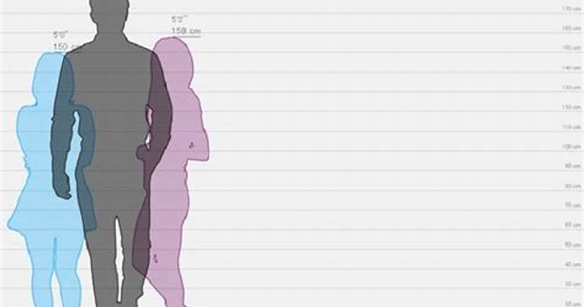 Visualizing 185Cm in Feet: Real-Life Comparisons from C-Drama Stars to Elite Athletes