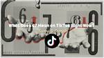 What Does '67' Really Mean on Tiktok? Fact-Checking Rumors Vs. Reality