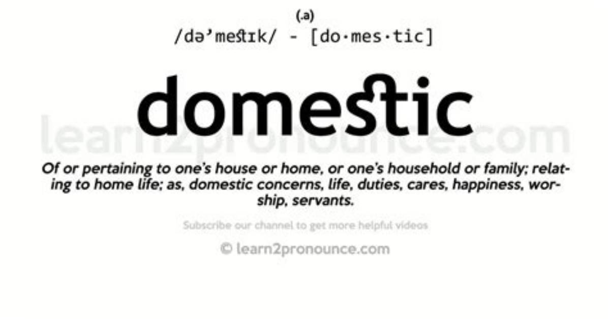 What Does Domestic Mean? the Complete Explainer on Family, Finance, and Government