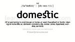 What Does Domestic Mean? the Complete Explainer on Family, Finance, and Government