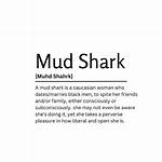 What Does Mudshark Mean? an Objective Guide to the Word, History, and Backlash
