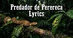 What Does 'Predador De Perereca' Really Mean? Shocking Tiktok Song Lyrics Translated