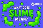 What Does 'Slime Out' Really Mean? the Dark Slang Behind Drake and Sza's Hit