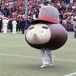 What Happened to Brutus Buckeye? the Complete Truth Behind Mascot Death Queries
