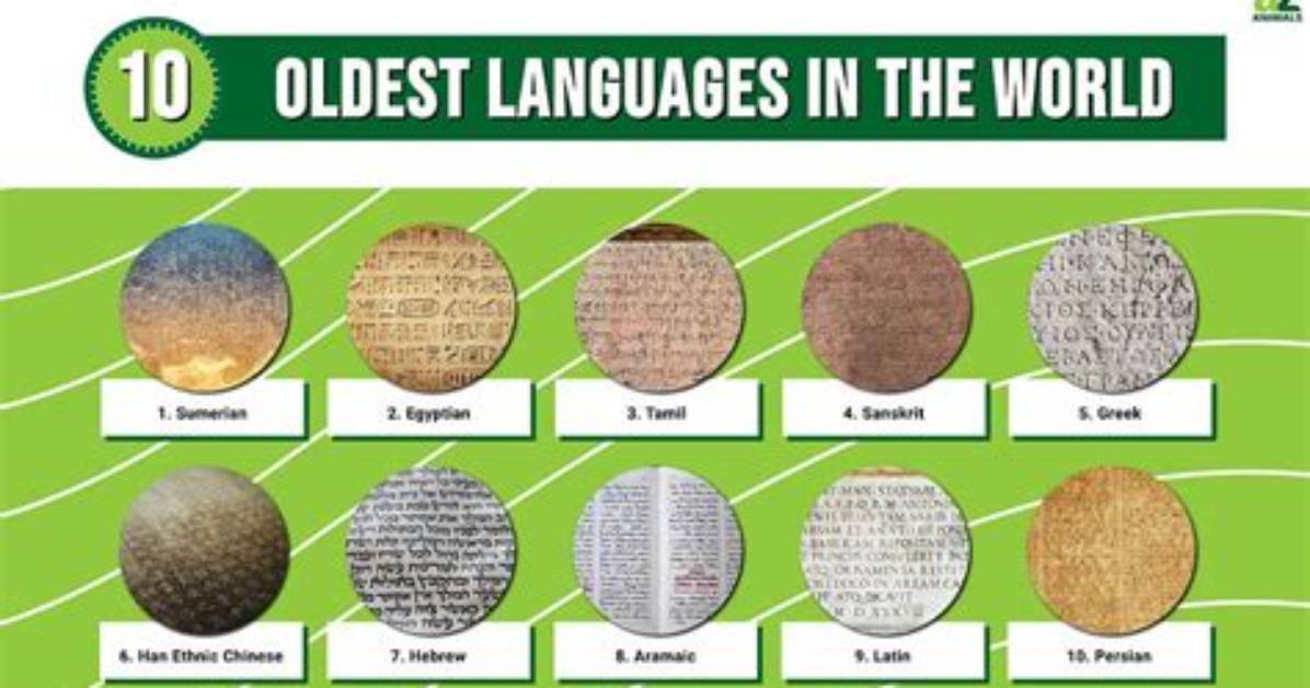 What Is the Oldest Language? the 15,000-Year-Old Words Humans Still Speak Today