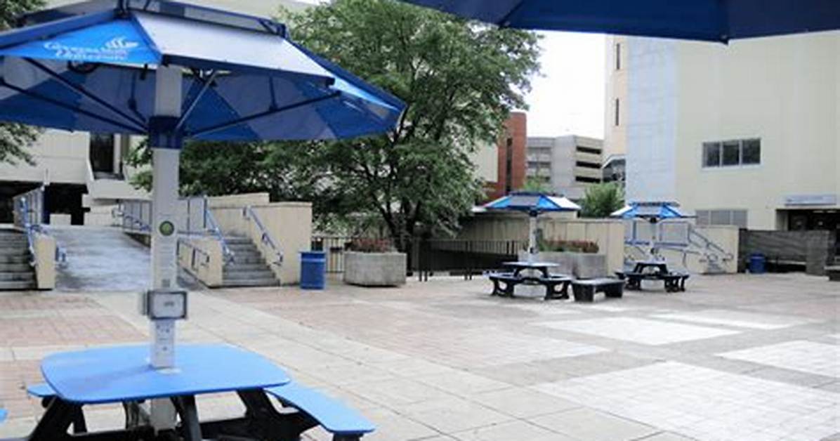 What Programs Are in the Gsu Urban Life Building? a Complete Department Breakdown