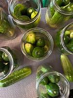 Why ‘Pickle’ Is Suddenly Trending Across Spain: from Tapas Jars to Ppa Tours