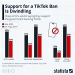 Why Tiktok Just Banned Meta Ads: Behind the Secret Ad Showdown